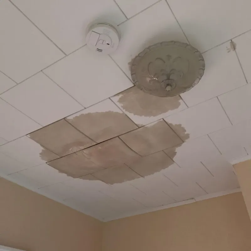 Ceiling Water Damage Repair in East Carroll Parish, LA